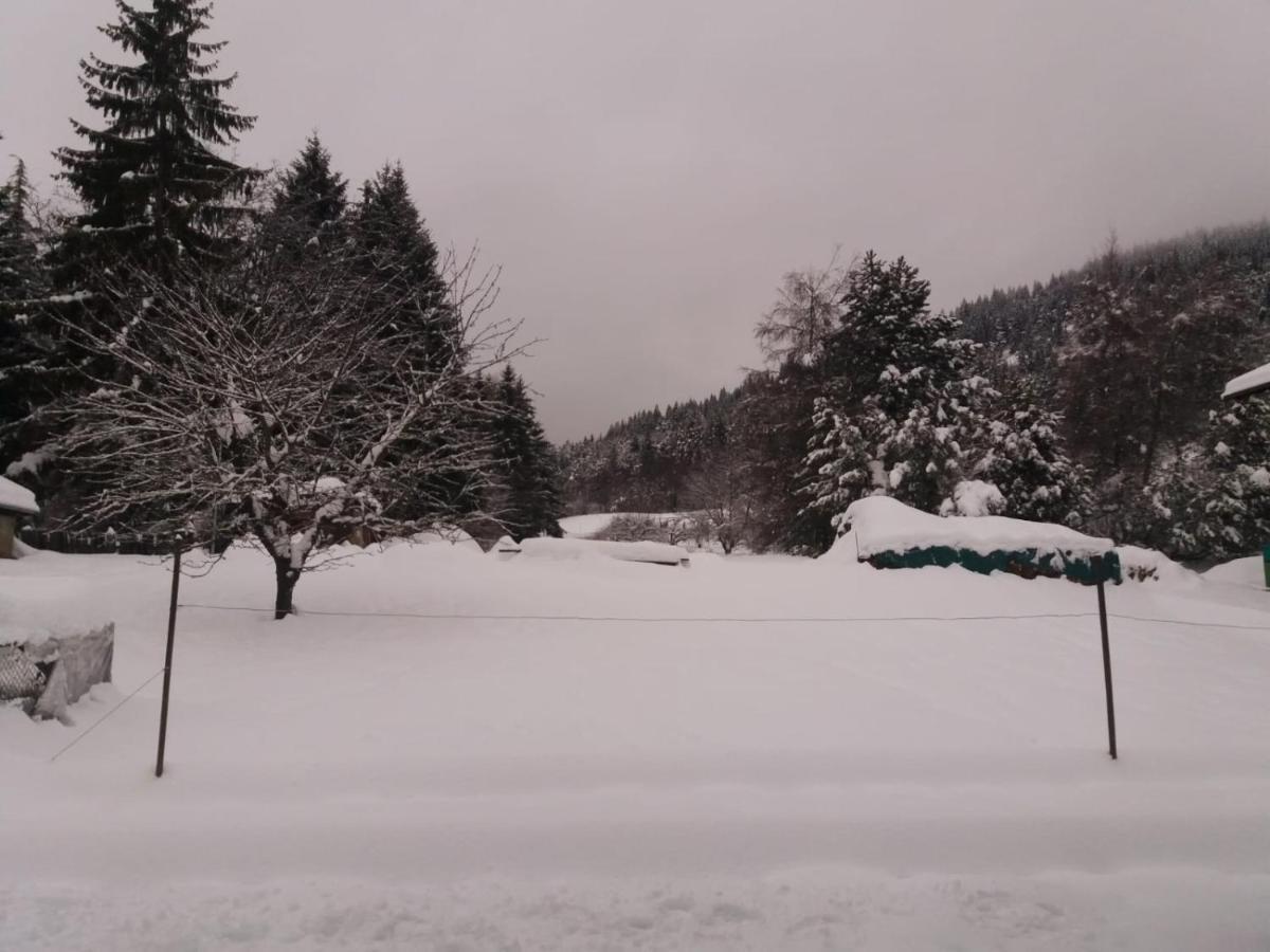 Appartamento Cologna Castelfondo المظهر الخارجي الصورة
